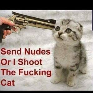 Meet your Posher, Terry